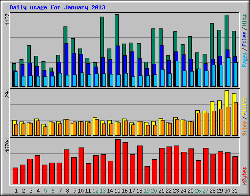 Daily usage for January 2013