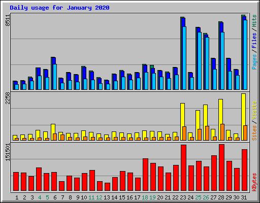Daily usage for January 2020