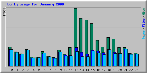 Hourly usage for January 2006