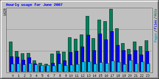 Hourly usage for June 2007