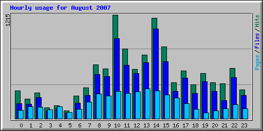 Hourly usage for August 2007