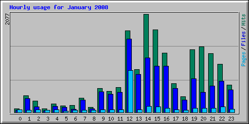 Hourly usage for January 2008