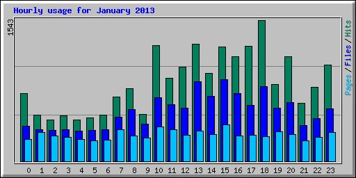 Hourly usage for January 2013