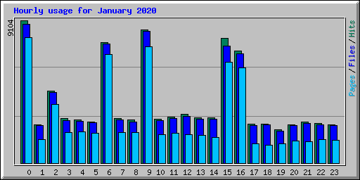 Hourly usage for January 2020