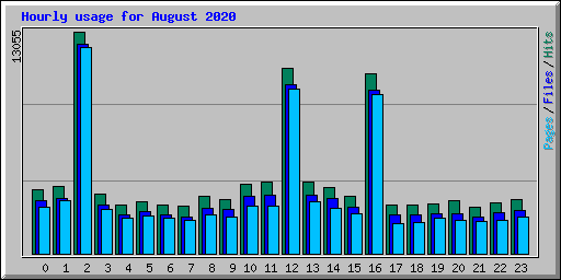 Hourly usage for August 2020